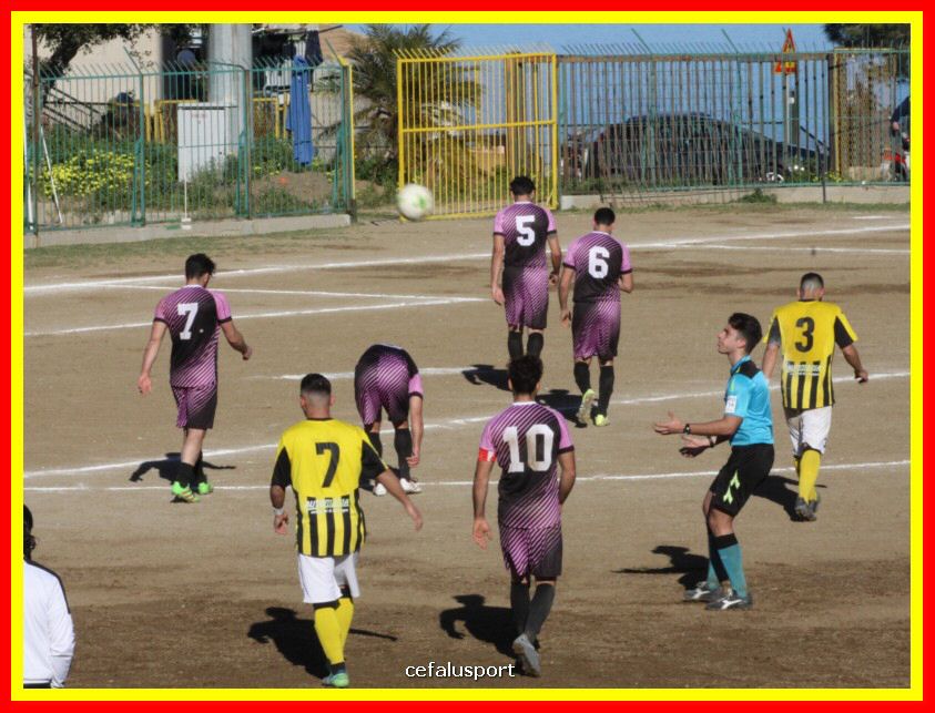 190310 Cephal_Torrenov 123_tn.jpg